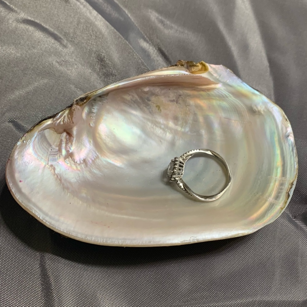 Seashell beach decor